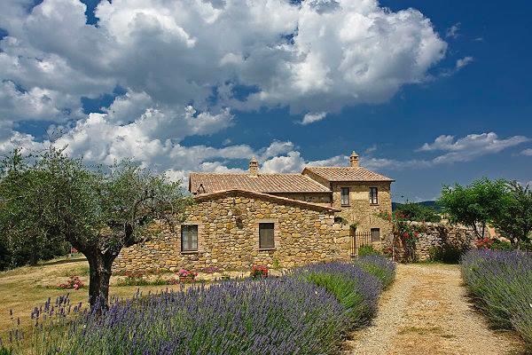Agriturismo Pianoia Pienza Zewnętrze zdjęcie
